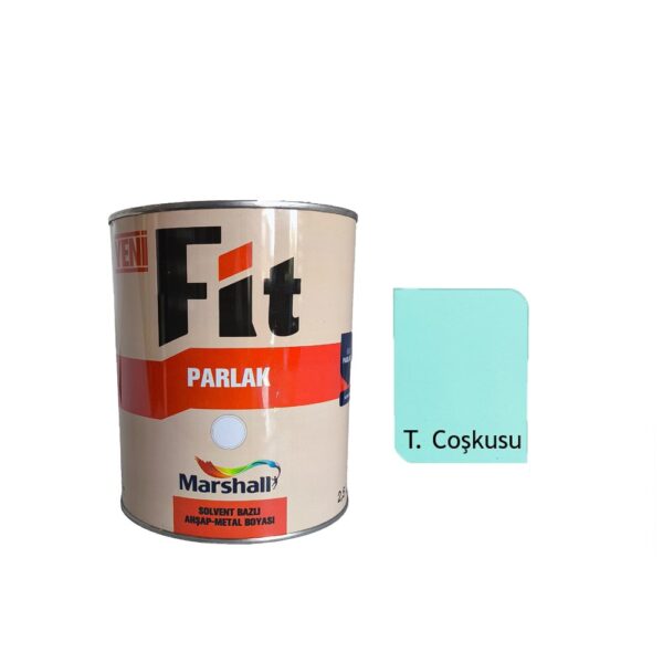 Marshall FİT Parlak Sentetik Yağlı Boya 0.75 Lt Turkuaz Coşkusu