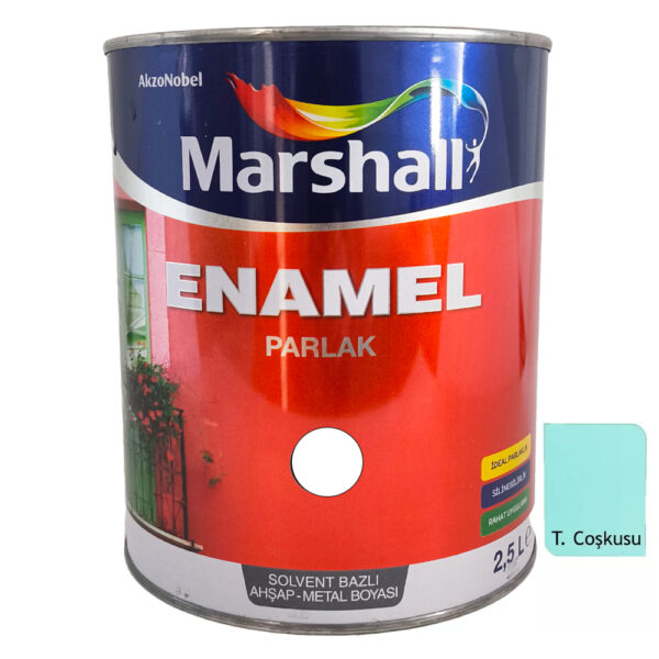 Marshall Enamel Sentetik Parlak Yağlı Boya 2.5 Lt  Turkuaz Coşkusu